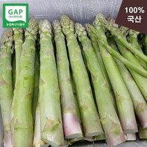 [강원 춘천] 국산 농장식송 생 아스파라거스 500g 1kg, 1개