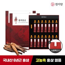[천지양] 6년근 활력홍삼 앰플 20ml x 15병 x 2박스 + 쇼핑백, 30개, 단품