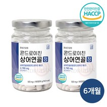 콘드로이친 상어연골 정 식약처인증 무릎 어골 칼슘 보스웰리아 함유 사은품증정, 콘드로이친 6개월