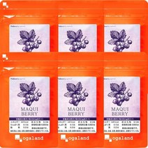 마키 베리(180캡슐/약 6개월 분)[123000200421006]오거 랜드과일 유래 서플리먼트, 1