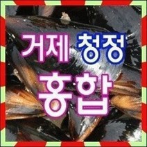 거제청정 손질홍합 10kg 당일채취 당일발송, 1개