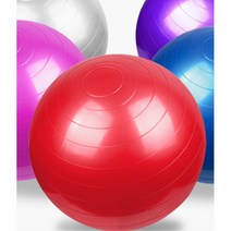 발란스운동 짐볼허리운동 55/65cm 펌프 포함 홈트 가성비 짐볼 간편한운동, 55실버