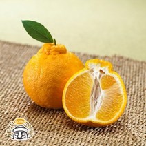 1월17일(화) 오전8시 주문시 명절전 배송 미귤농산 서귀포 한라봉 5kg (18~25과 실중량)
