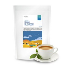 [천삼백케이] [닥터루트] 닥터루트 차가버섯 삼각티백 100T, 01. 차가버섯 삼각티백 100T