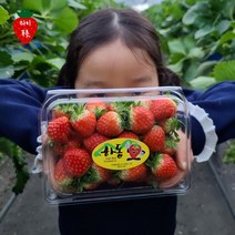 산지직송 설향딸기 반값딸기 못난이딸기 파지 팥쥐딸기 생딸기 한정물량 하동 지리산 한입 방울 ﻿카페 주스용 1kg 2kg 2.4kg, 파지딸기_2.4kg_물량한정