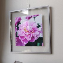 투명액자56CmX56Cm 부를부르는풍수작약꽃.꾸밈