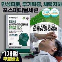 회사원 수험생 50대여성 만성피로 성인 뇌영양제 추천 / 두뇌 건강 건망증 암기력 기억력 감퇴 뇌세포 혈액순환 손 발 다리 저림 통증 개선 / 은행잎 추출물 노화방지 치매예방, 1상자(1개월)