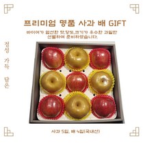 [롯데백화점] 명품 사과/배 과일세트 롯데백화점에서 선별한 당도 높은 과일 선물세트 사과배선물세트 사과선물세트 사과배혼합선물세트 추석선물세트 과일선물세트 과일선물, 1박스(프리미엄 선물세트/사과5입 배4입)