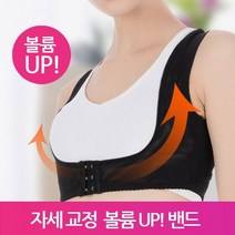 [YT_ON]볼륨업 굽은등 라운드숄더 바른체형 바른자세밴드[YT0430], XL_베이지