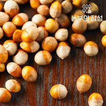 [농부의정성] 전북정읍 박경철님의 깐은행 1kg(특대), 1개