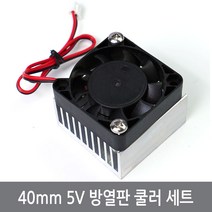 CN5 40mm 5V 쿨링팬 방열판 세트 열전소자 펠티어, 40mm방열판세트