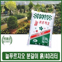 스투키분갈이 화분 분재 원예화훼 화초관엽식물 화분흙 분갈이토 식물재배흙 분갈이흙 배양토 화분분갈이 상토 분갈이 혼 마당 텃밭 스투키 금천수 분갈이 상토, 상세페이지 참조