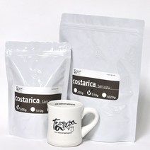 테이크아웃로스팅 코스타리카 따라주 (분쇄선택)200g 500g 뉴크롭 스페셜 원두, 200g, 가는분쇄(모카포트)