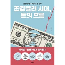 초강달러 시대 돈의 흐름 : 금융위기를 대처하는 돈 공부, 홍재화 저, 포르체