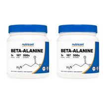 뉴트리코스트 베타 알라닌 파우더 1서빙 3g 167회분 500g 1개 1서빙 3g 167회분 Beta-Alanine Powder [500 GMS], 2개