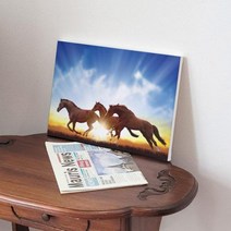 bc002-캔버스액자33.4x24.2_성공의상징말그림, 이미지4