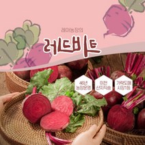 직접농사 2021년 햇비트 레드비트 원물 10kg