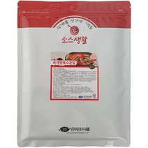 [두원식품] 육개장 육수 분말, 1Ea, 100g
