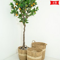 아침향기 수공예 라인 라탄바구니 화분커버, 소형