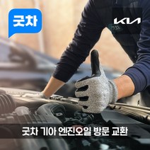 굿차 출장 엔진오일 교환 기아 - K5, 프리미엄 100%합성 오일, K5 DL3 2.0 LPG (20-22년)