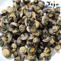 제주 보말 껍질깐 순살 300g 제주한림수산, 500g