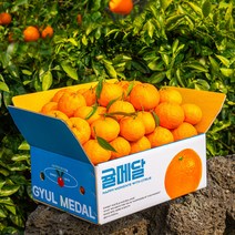 당도엄선 제주 카라향, 가정용, 5kg