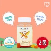 아이클키즈 비타민C&아연 꾸미 어린이유아 영양제 132g(2.2g/60꾸미) 2통, 단품, 단품