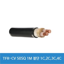 TFR-CV 50SQ 1M 단위절단 1C 2C 3C 4C 전선 전기선, 1개