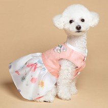 강아지한복꽃낭자 판매 사이트 모음