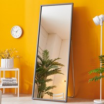 에이스홈 우디 와이드L 전신거울, 그레이 / MA037_GRY, 스탠드형