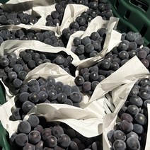 알아주는 경산 특품 머루 포도 2kg내외 (실중량) / 산지에서 바로 보내드려요, 1개