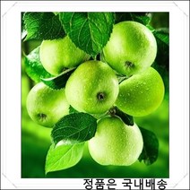 [마이갤러리] DIY 인테리어 소품 만들기/ 비즈/ 보석십자수 B1224 풍수 재물 청사과, 1개, 풍수 재물청사과 B1224