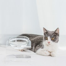 [스튜디오 알로티] 루미 펫테이블+유리볼 1구 대용량 M사이즈 강아지 고양이 식탁 수반 물그릇 밥그릇, 단품