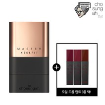 메가핏스틱파운데이션(글로우)+틴트(3종택1), 색상:2호(샌드베이지)+틴트(스윗피그)+쇼핑백, 단품