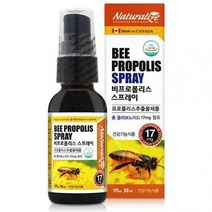 330 라이즈 캐나다비프로폴리스 스프레이 30ml, 상세페이지 참조, 상세페이지 참조