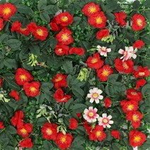 N77 플랜트월 인조 식물 ROSE RED 포토월 벽 잔디 포토존 인테리어 실내 조경 벽면 녹화 수직 정원 그린월