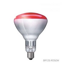 필립스 적외선 의료용 램프 의적 250W 특수램프 적외선램프