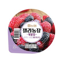 농협 젤리농장 복분자 국산 100%, 12개, 160g