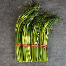 [KT알파쇼핑]제주 마늘종 1kg