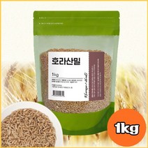 식이섬유 단백질 많은 카무트 라 불리는 호라산밀 쌀 1kg, 1kg(1팩)