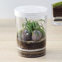 이끼 애란 테라리움 만들기 DIY 키트, 추가옵션:우산소녀