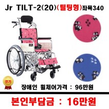 보장구 틸팅형 휠체어 Jr TILT2 20 좌폭340 장애인지원 지원품목 보장구휠체어, 1개, 팬더블루