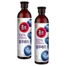 대상 청정원 홍초 블루베리 900ml x 2개, 1