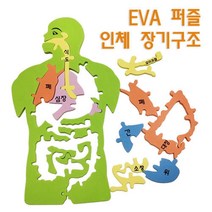 인체 장기 구조 모형 퍼즐 기관 관찰 학습 돌봄 원리 창의 탐구 연구 실습 수업 교구 도구 과학