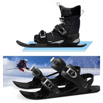 인라인 미니 스키 숏스키