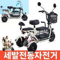 세발전동자전거 삼륜전기자전거 접이식 오토바이 3륜전기스쿠터, 2인승, 화이트, 11A