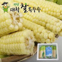[찰지고 맛있는]햇괴산대학찰옥수수/생물 냉동2가지, 15개 생물 괴산찰옥수수