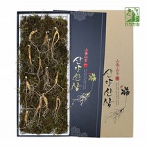 기운내삼 산양산삼 6-7년근 12뿌리 선물세트 선물포장 강원도 특산품 고산지대 산지직송 농장 정품 국내산 어버이날 추석 구정 명절선물 사포닌 진세노사이드 한국임업진흥원 품질검사합격