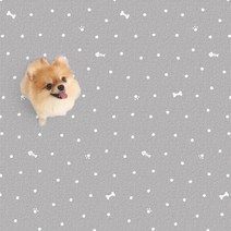 파크론 펫노리터 냄새케어 논슬립애견매트 네발로콩콩 100 애견매트