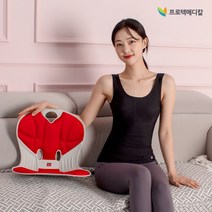 바른자세 지킴이 펠비신 체어 / 자세교정의자 좌식 보조의자 방석 등받이 슬림 체형, 레드